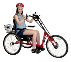 Adult Handcycle Community Cruiser by AmTryke <br><b> 30 day lead time</b>